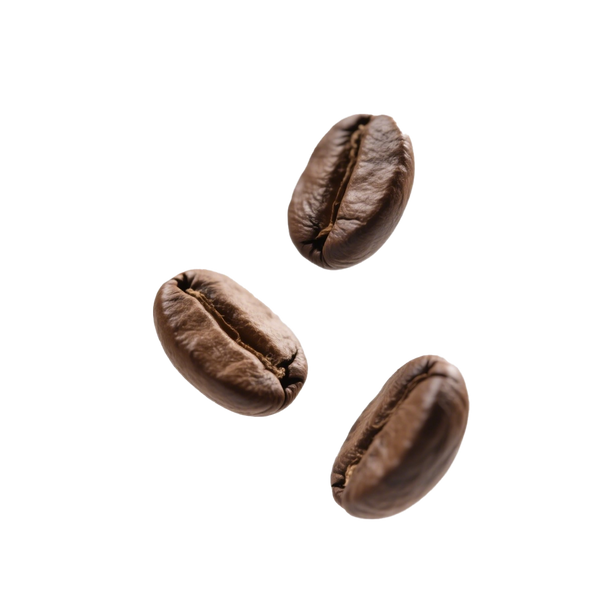 Three coffee beans on a white background, Caffeine